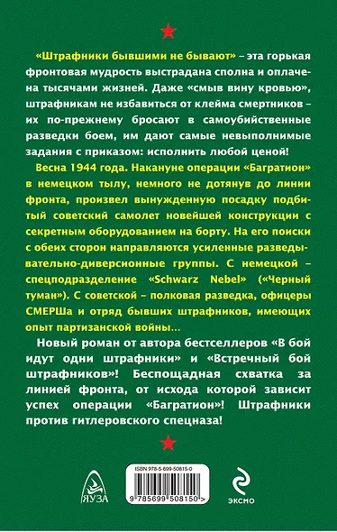 Штрафники против гитлеровского спецназа. Операция "Черный туман" - фото 2