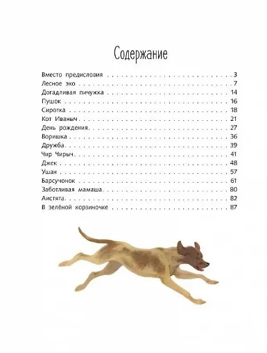 Друзья моего детства - фото 6