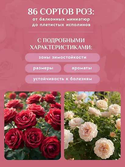 Садовые розы. Полное руководство по выращиванию, уходу и созданию потрясающих букетов - фото 5