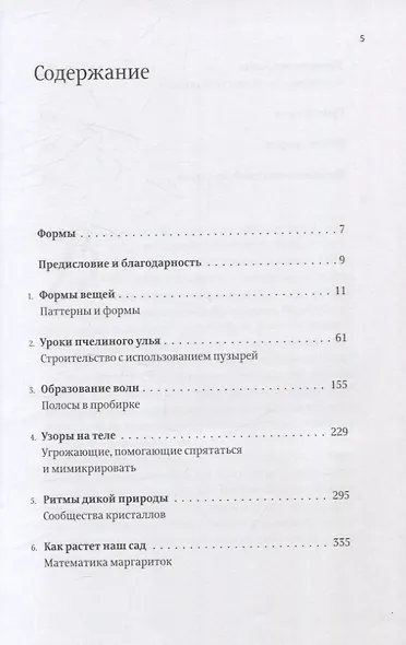 Закономерности в природе: самотканный ковер (в трех частях). Формы - фото 6