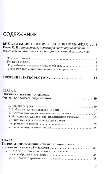 Визуализация течения жидкости в каналах: монография - фото 2