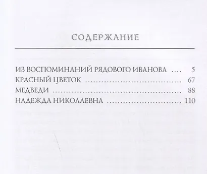 Из воспоминаний рядового Иванова - фото 2