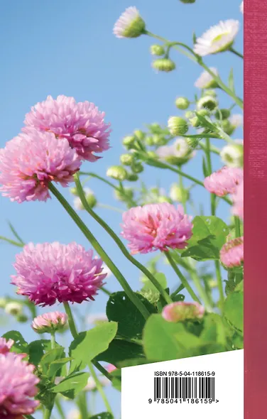 Когда стихи улыбаются - фото 2