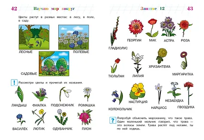 Изучаю мир вокруг: для детей 5-6 лет - фото 8