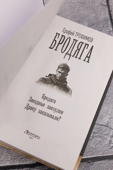 Бродяга (сборник) - фото 7