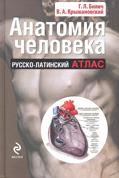 Анатомия человека: русско-латинский атлас - фото 1