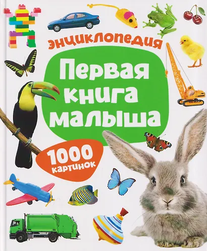 Первая книга малыша. Энциклопедия. 1000 картинок - фото 1