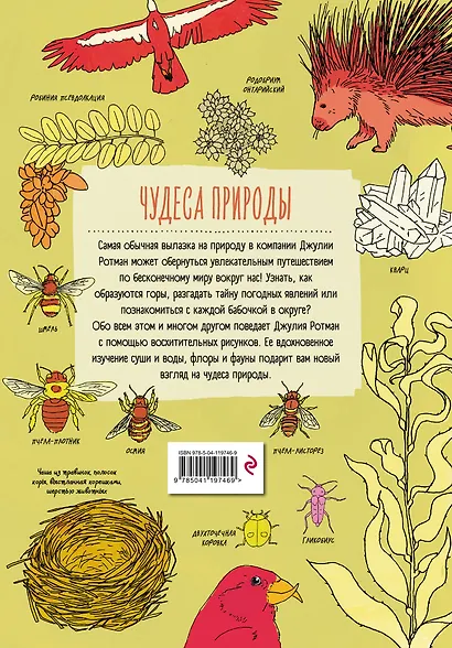Анатомия природы. Занимательные детали мира природы - фото 2