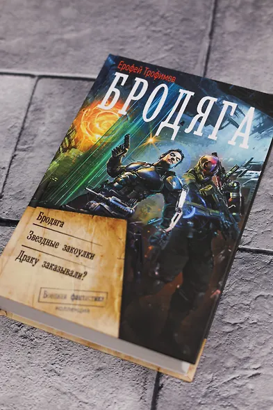 Бродяга (сборник) - фото 5