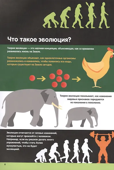 Эволюция. Инфографика - фото 5