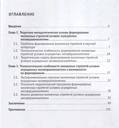 Жизненные стратегии условно осужденных несовершеннолетних. Монография - фото 2