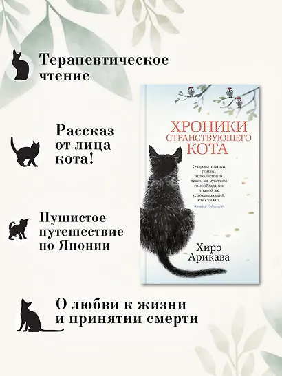 Хроники странствующего кота - фото 6