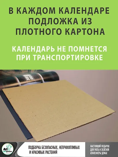 Цветология. Настенный календарь на 2026 год - фото 4