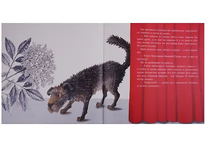 Пух и перья - фото 4