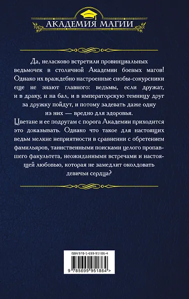 Пропавший факультет, или Ведьмочки в Академии Боевых Магов - фото 2