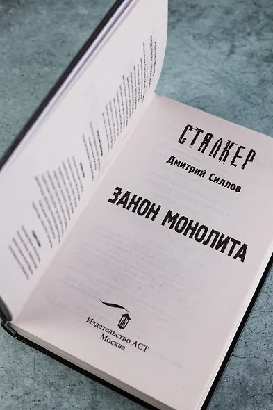 Закон монолита - фото 6
