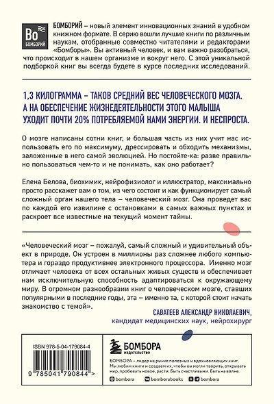 Комплект из 2х книг: Автостопом по мозгу+Очаровательный кишечник (ИК) - фото 5
