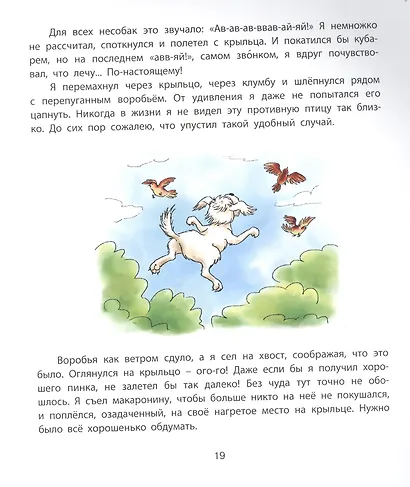 Пух, летающая собака - фото 4