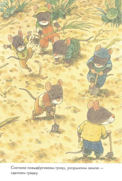 14 лесных мышей. Тыква - фото 4