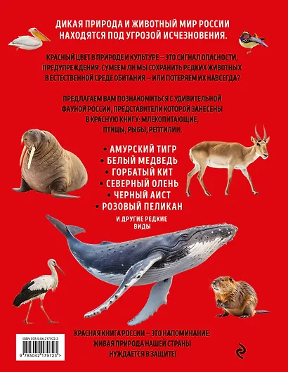 Красная книга России. Большой формат. Более 500 уникальных иллюстраций и фактов (новое издание) (основной) - фото 2