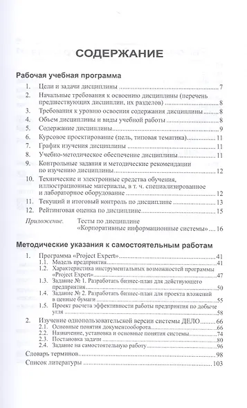 Корпоративные информационные системы.Учебно-методический комплекс. - фото 2