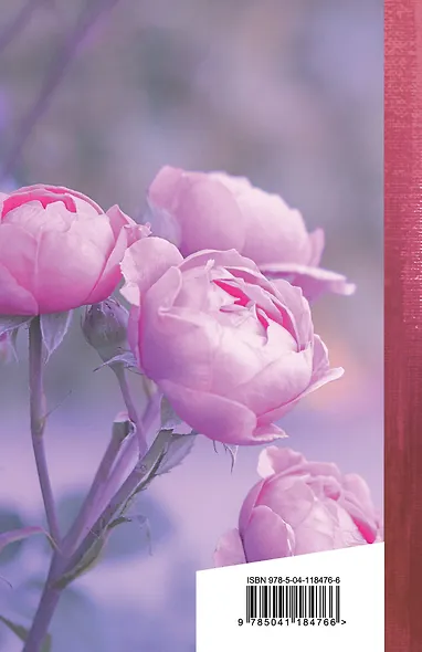 Шепот, робкое дыханье... - фото 2