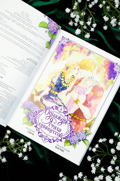 Однажды я стала принцессой. Том 5 (Кто сделал меня принцессой / Who Made Me a Princess). Манхва - фото 9