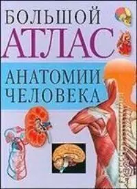 Атлас анат.чел.(св.бол)60х90/8 - фото 1