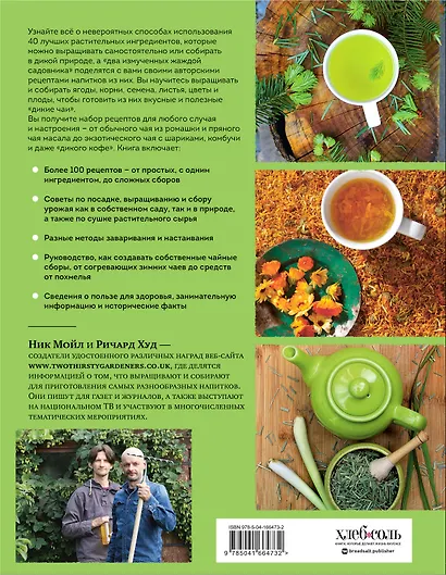 Дикий чай. Новые вкусовые территории (фото) - фото 2