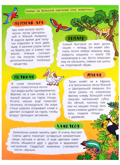 Книжка-панорамка "Жаркие страны" - фото 2