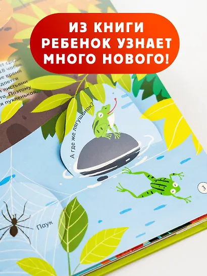 Животные и птицы - фото 6