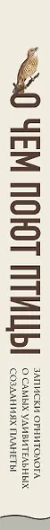 О чем поют птицы. Записки орнитолога о самых удивительных созданиях планеты - фото 5