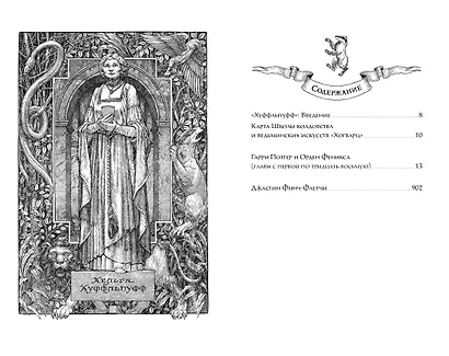 Гарри Поттер и Орден Феникса (Хуффльпуфф) - фото 3