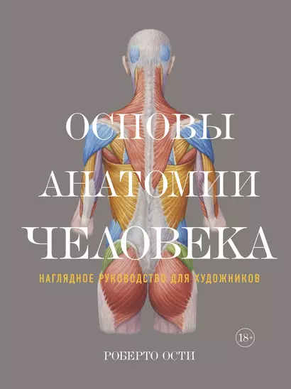 Основы анатомии человека. Наглядное руководство для художников - фото 1