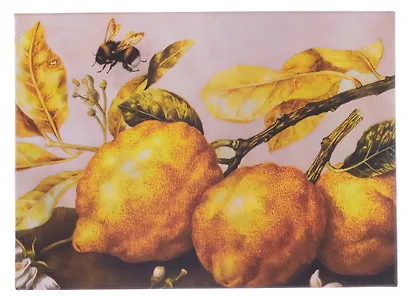 Коробка подарочная "ART. Гарцони Д. Натюрморт с лимонами" 22*16*7, Schiller - фото 5