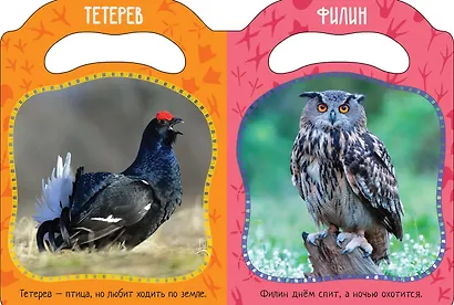 Кто летает и поет? - фото 2