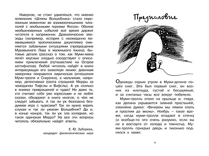 Шляпа Волшебника - фото 8
