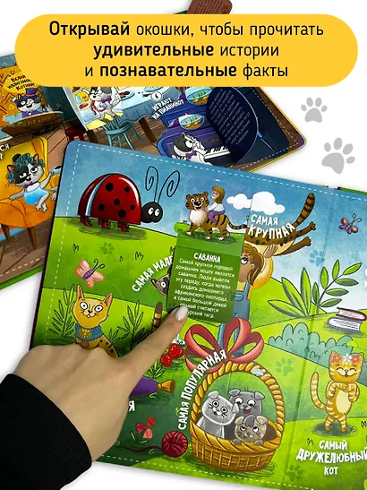 "Смотри, кошка!". Книга с окошками - фото 3