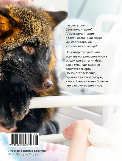 Быть волонтером - фото 2