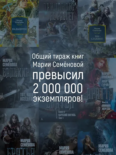 Викинги - фото 6