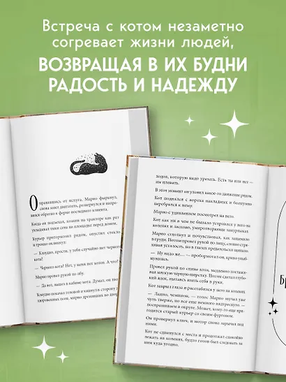 Кот с семью именами. Счастье приходит к тому, кто верит в чудеса - фото 7