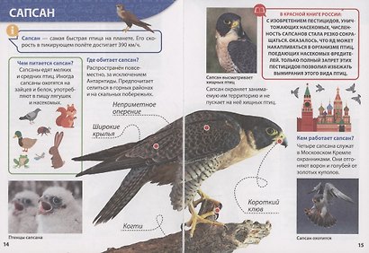ЭНЦИКЛОПЕДИЯ ДЛЯ МАЛЕНЬКИХ ПОЧЕМУЧЕК. Красная книга - фото 4