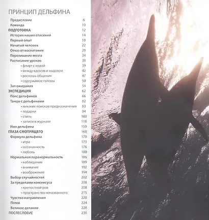 Принцип Дельфина - фото 3