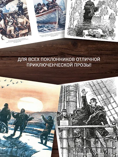 Путешествие и приключения капитана Гаттераса. Найденыш с погибшей «Цинтии» - фото 6