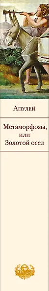 Метаморфозы, или Золотой осел - фото 5