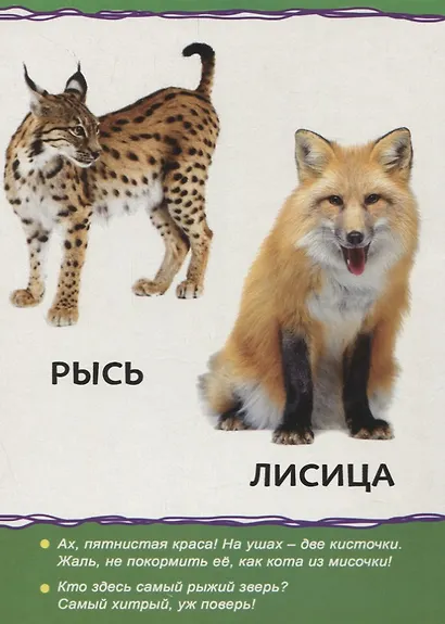 Животные леса для малышей - фото 3