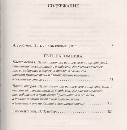 Путь паломника - фото 2