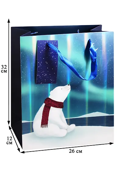 Пакет А4 32*26*12 Северное сияние дет., бум.мат.ламинат - фото 2