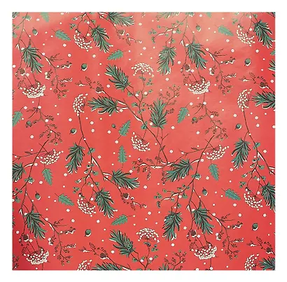 Бумага упаковочная 70*100см "Новогодние веточки" НГ,инд.уп. - фото 3