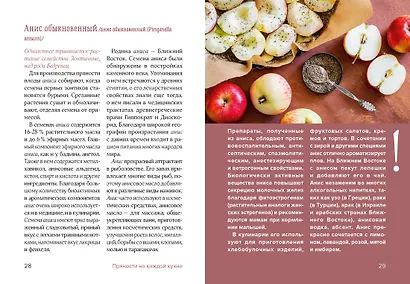 Праздник как по нотам. Специи и пряности. - фото 11